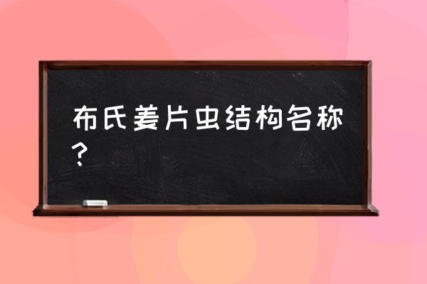 布氏姜片虫结构 布氏姜片虫结构名称？