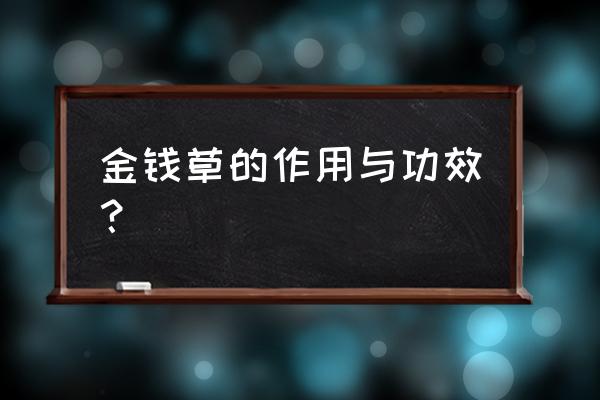 金钱草的神奇功效 金钱草的作用与功效？