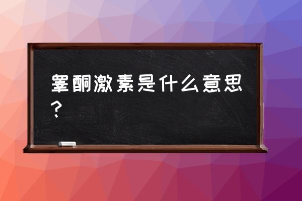 睾丸激素是啥 睾酮激素是什么意思？