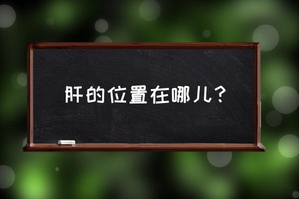 肝在肋骨里面还是下面 肝的位置在哪儿？