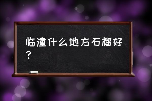 临潼石榴介绍 临潼什么地方石榴好？