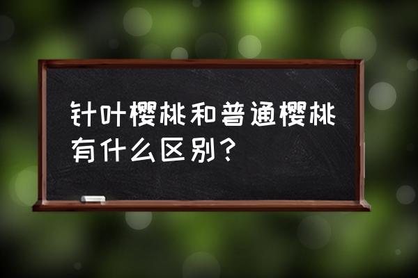 针叶樱桃和普通樱桃的区别 针叶樱桃和普通樱桃有什么区别？