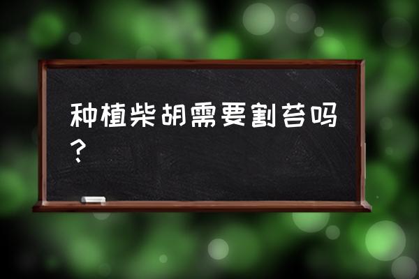 醋柴胡的功效与作用点 种植柴胡需要割苔吗？