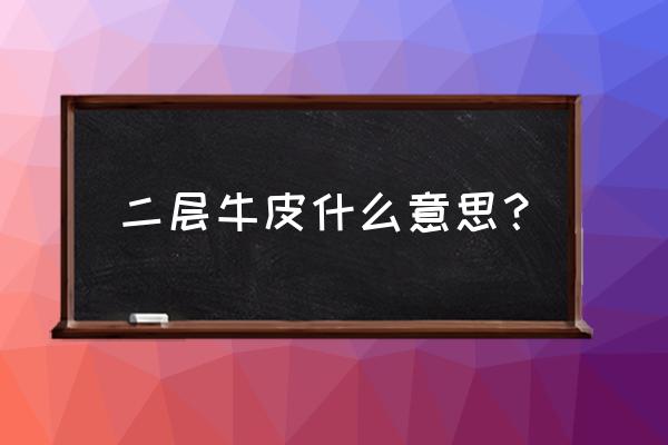 二层牛皮是什么皮 二层牛皮什么意思？