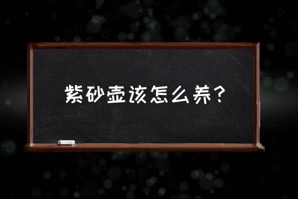 紫砂壶的保养与养护 紫砂壶该怎么养？