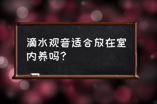 滴水观音适合在室内养吗 滴水观音适合放在室内养吗？