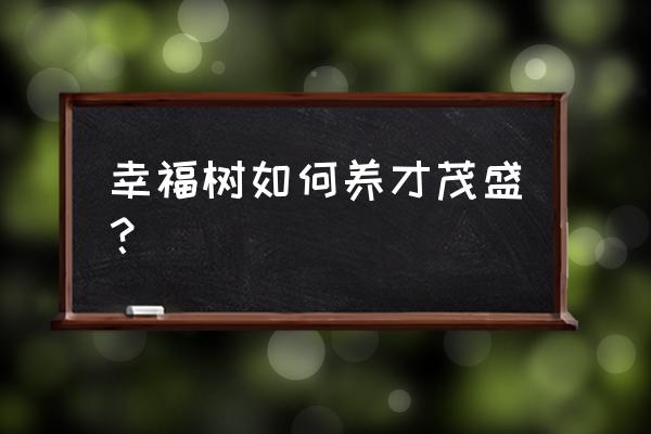 幸福树怎么养才能茂盛 幸福树如何养才茂盛？