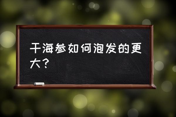 干海参如何泡发最大 干海参如何泡发的更大？