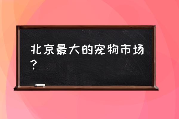 北京最有名的宠物市场 北京最大的宠物市场？