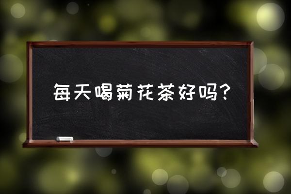 白菊花茶可以天天喝吗 每天喝菊花茶好吗？