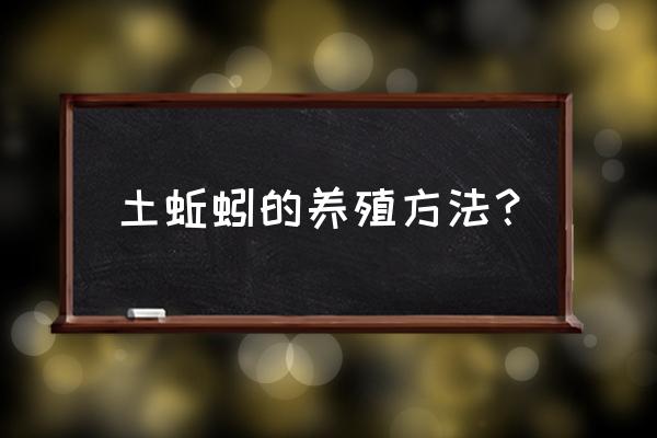 最干净的蚯蚓养殖办法 土蚯蚓的养殖方法？