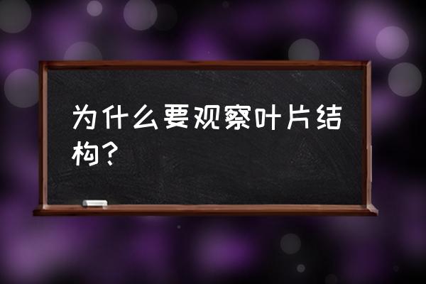 观察叶片的基本结构 为什么要观察叶片结构？