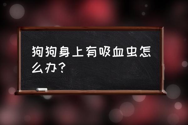 狗身上的吸血虫叫什么 狗狗身上有吸血虫怎么办？