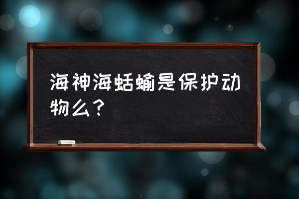 大西洋海蛞蝓 海神海蛞蝓是保护动物么？