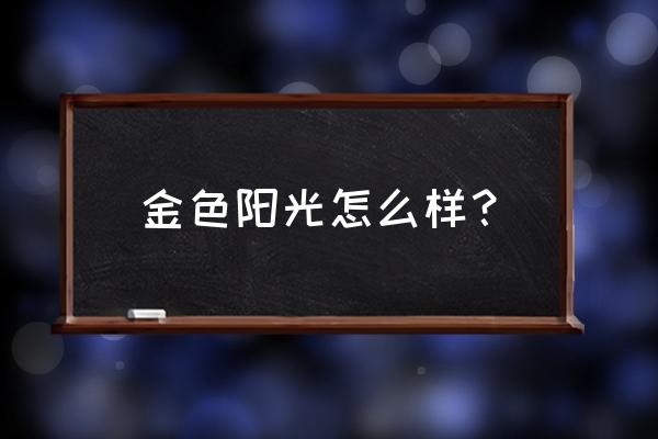 金色阳光经理 金色阳光怎么样？