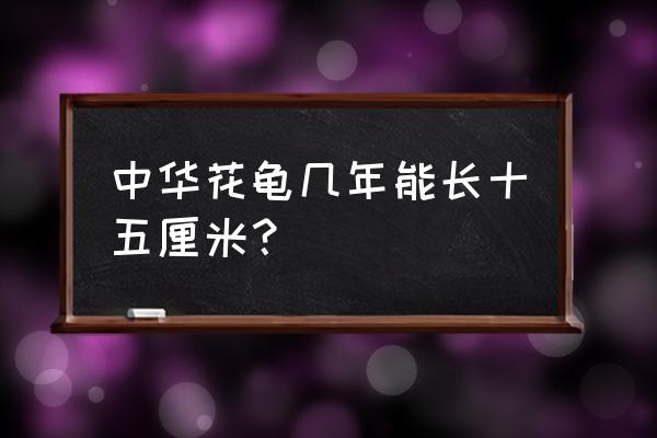 捡了一只6斤的中华花龟 中华花龟几年能长十五厘米？