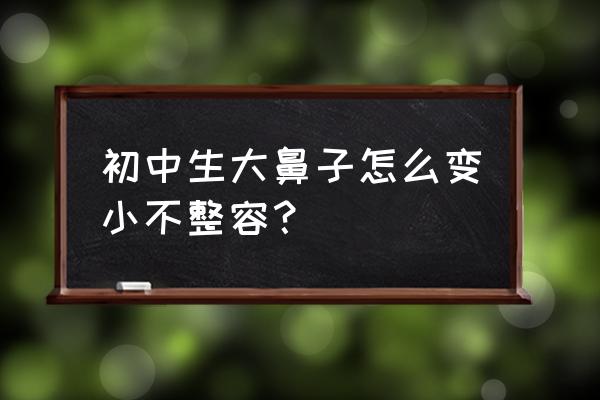 学生怎么鼻翼缩小 初中生大鼻子怎么变小不整容？