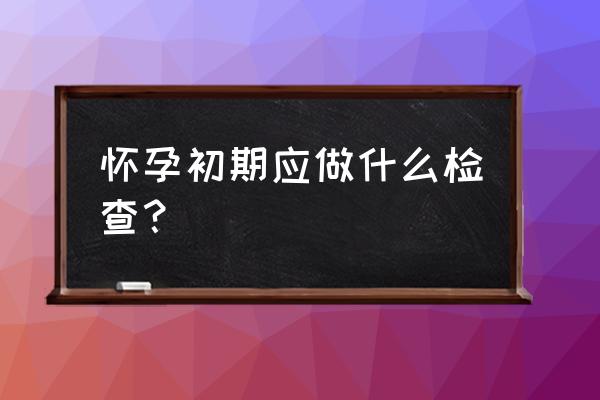 怀孕初期需要检查些啥 怀孕初期应做什么检查？