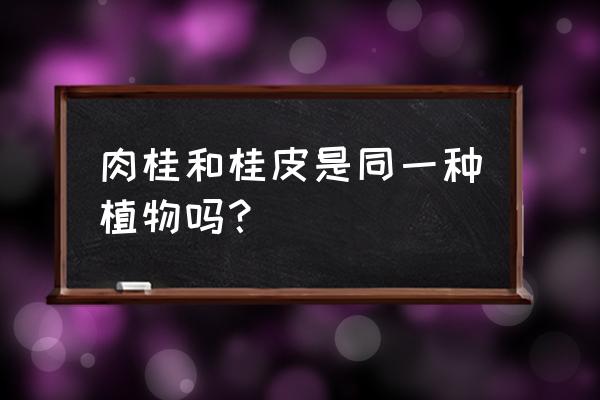 肉桂桂皮是一种东西吗 肉桂和桂皮是同一种植物吗？