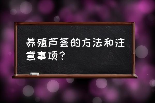 芦荟的养殖方法和注意事项 养殖芦荟的方法和注意事项？