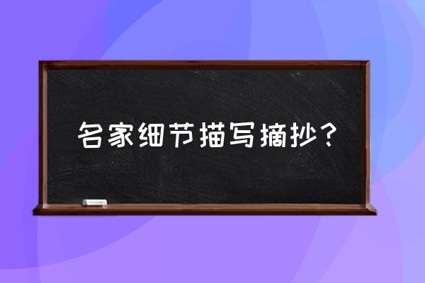 细节描写片段摘抄 名家细节描写摘抄？