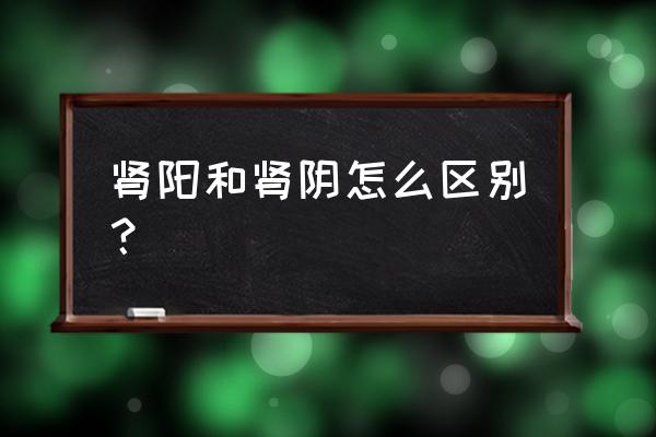 阴虚阳虚区别最好方法 肾阳和肾阴怎么区别？