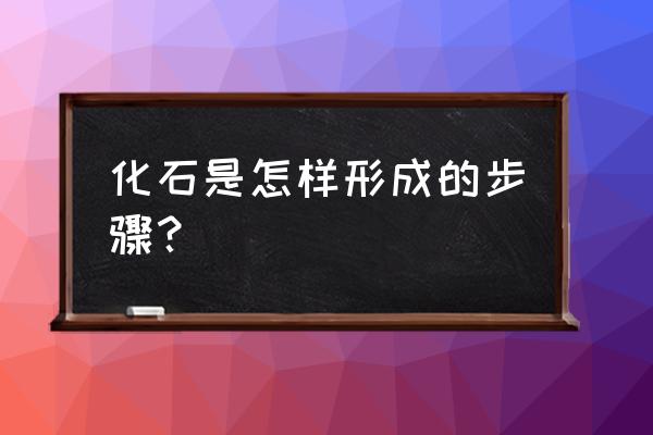 化石是怎么形成的简介 化石是怎样形成的步骤？