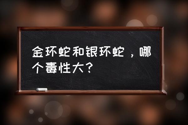 海洋金环蛇 金环蛇和银环蛇，哪个毒性大？