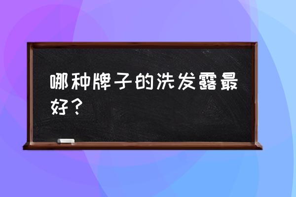 哪个牌子洗发水最好用 哪种牌子的洗发露最好？