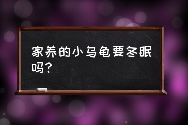 家里养的小乌龟冬眠吗 家养的小乌龟要冬眠吗？