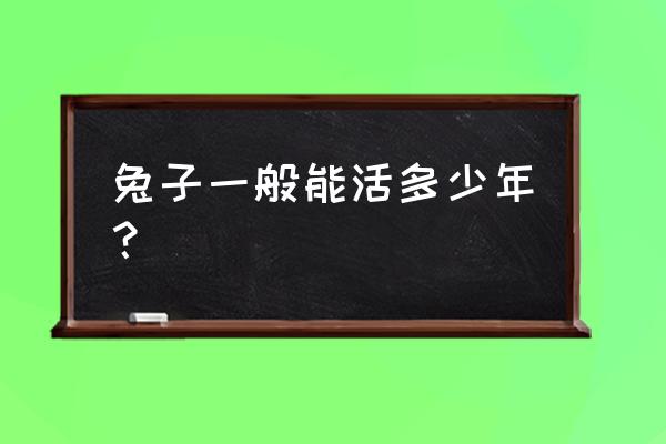 比利时兔能活多少年 兔子一般能活多少年？