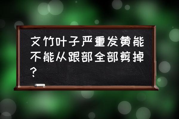 文竹叶子发黄全剪了 文竹叶子严重发黄能不能从跟部全部剪掉？