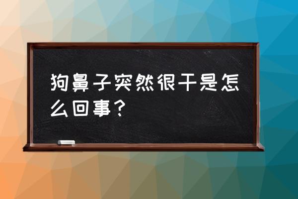 狗狗的鼻子突然干了 狗鼻子突然很干是怎么回事？