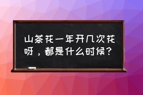 山茶花什么时候开花季节 山茶花一年开几次花呀，都是什么时候？