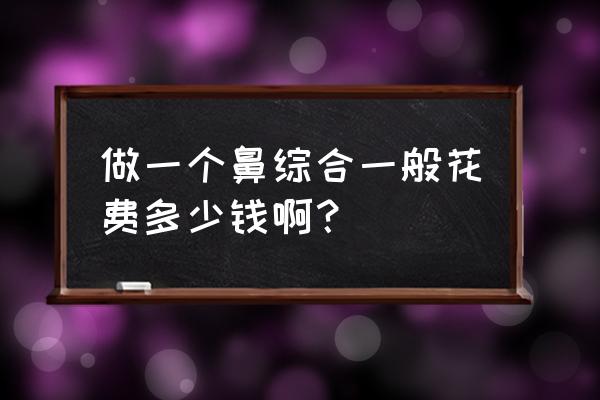 做个鼻子大概需要多少钱 做一个鼻综合一般花费多少钱啊？