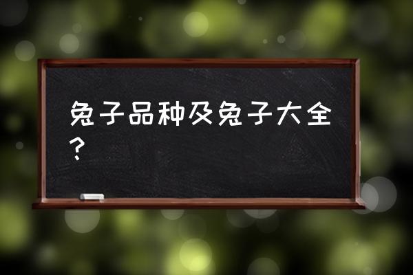 兔子品种大全及介绍 名字 兔子品种及兔子大全？