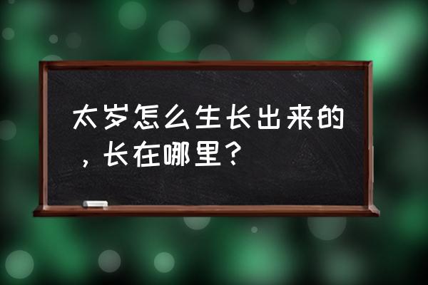 太岁是怎么形成的 太岁怎么生长出来的，长在哪里？