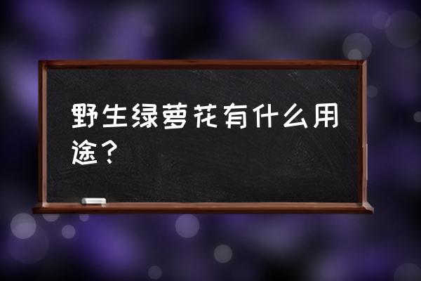 藏绿萝花的功效与作用 野生绿萝花有什么用途？