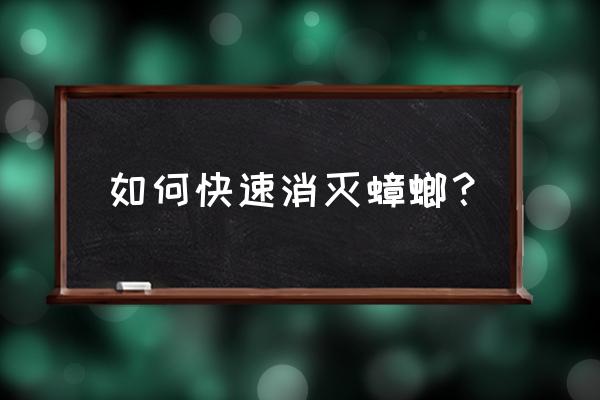 怎样快速灭蟑螂 如何快速消灭蟑螂？