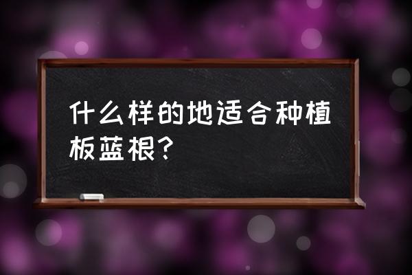 板蓝根适合什么地方种植 什么样的地适合种植板蓝根？