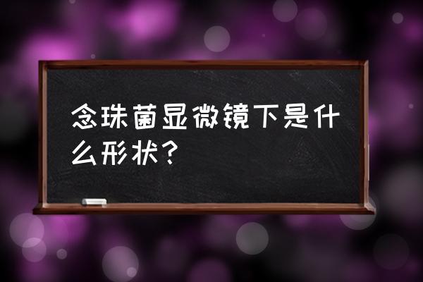 白色念珠什么样子 念珠菌显微镜下是什么形状？