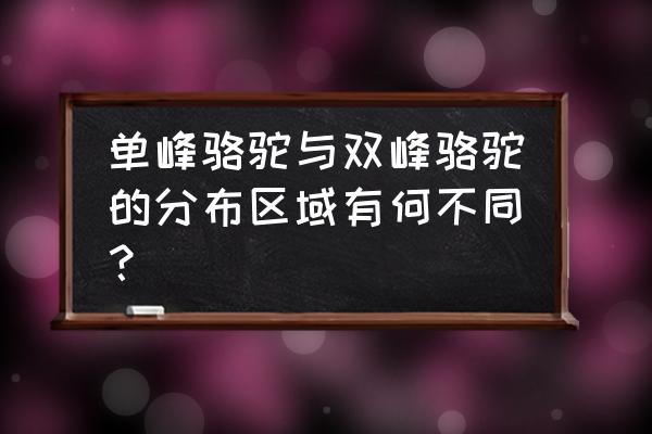 单峰骆驼与双骆驼 单峰骆驼与双峰骆驼的分布区域有何不同？