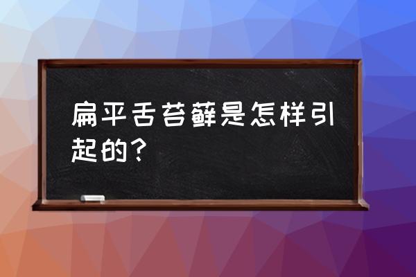 舌苔藓是什么样子 扁平舌苔藓是怎样引起的？