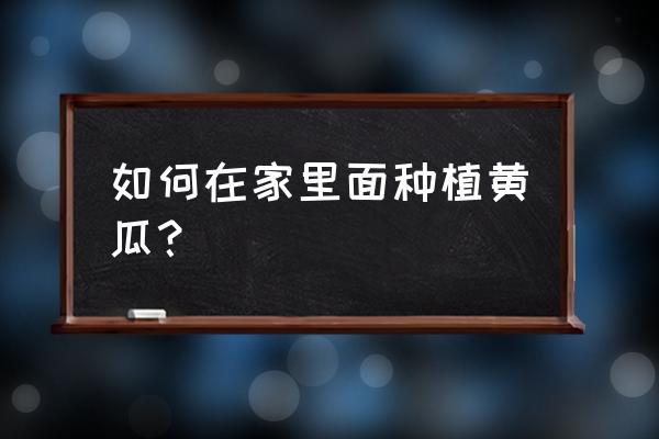 家庭黄瓜种植方法 如何在家里面种植黄瓜？