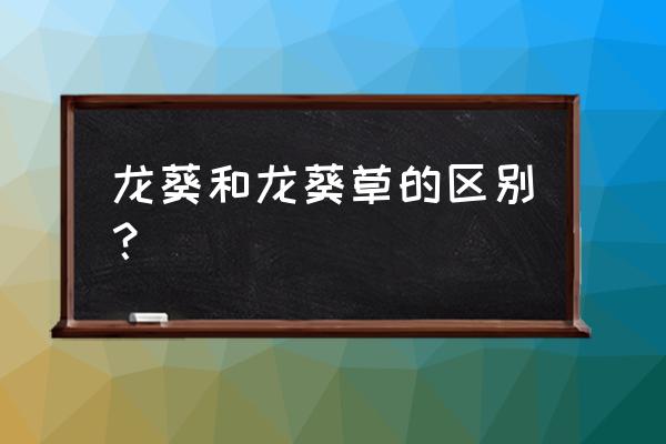 少花龙葵和龙葵的区别 龙葵和龙葵草的区别？