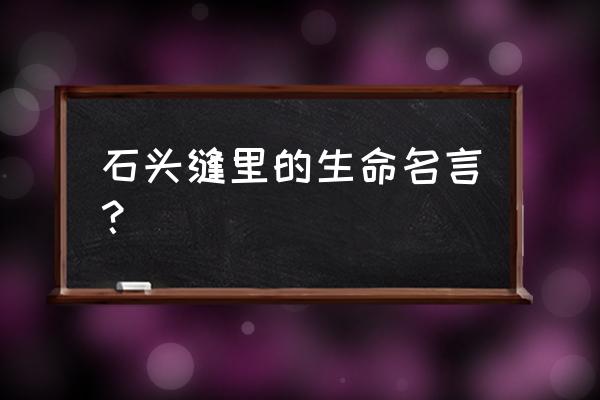 关于石缝间的生命的名言 石头缝里的生命名言？