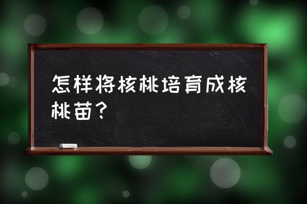 核桃树苗怎么培育 怎样将核桃培育成核桃苗？