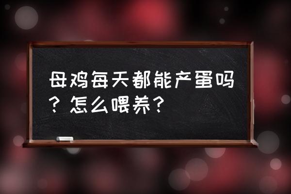 梦到好多鸡下蛋 母鸡每天都能产蛋吗？怎么喂养？