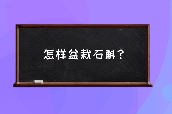 石斛盆栽怎么养 怎样盆栽石斛？