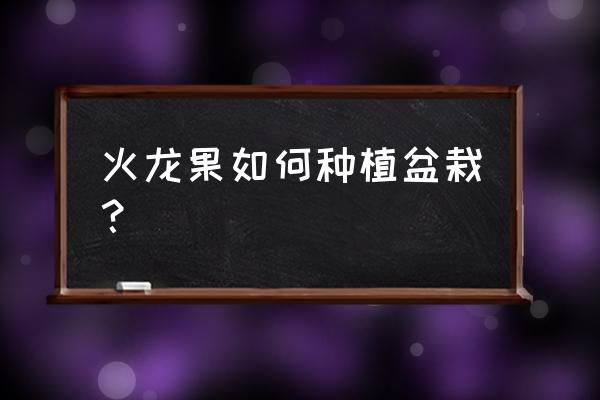 家庭种火龙果盆栽 火龙果如何种植盆栽？